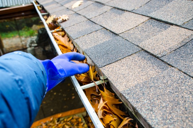Removing leaves and debris from a residential gutter during routine maintenance
